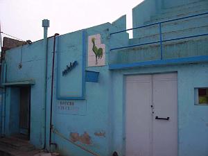 ORAN PISCINE DU GALLIA LE COQ EST TOUJOURS LA
